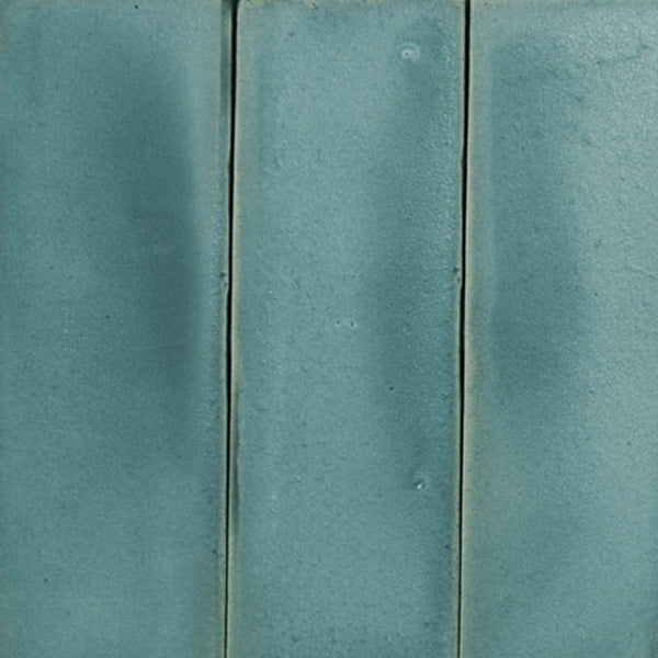 Vasari Posidonia 08