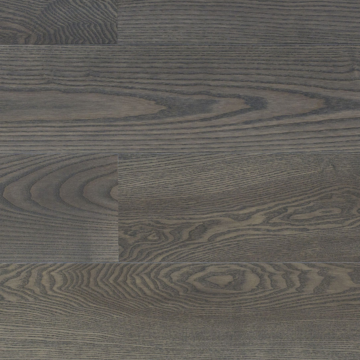 Ash Elegant Villa Grey