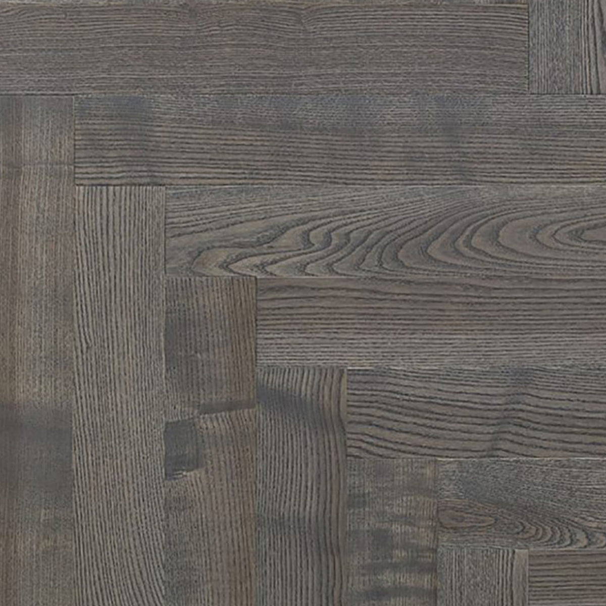 Ash Elegant Caltello Gris