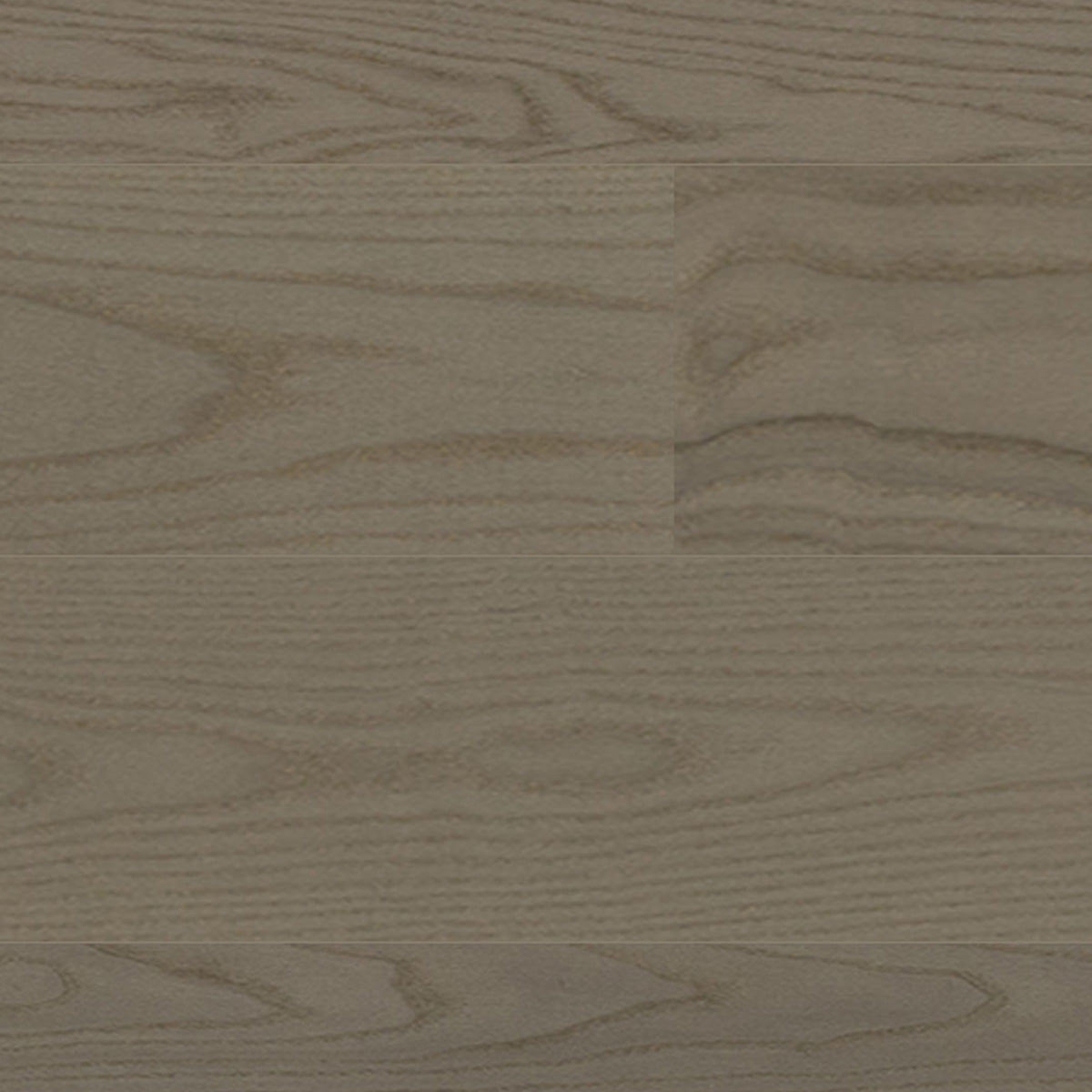 Ash Elegant Castelino Poro