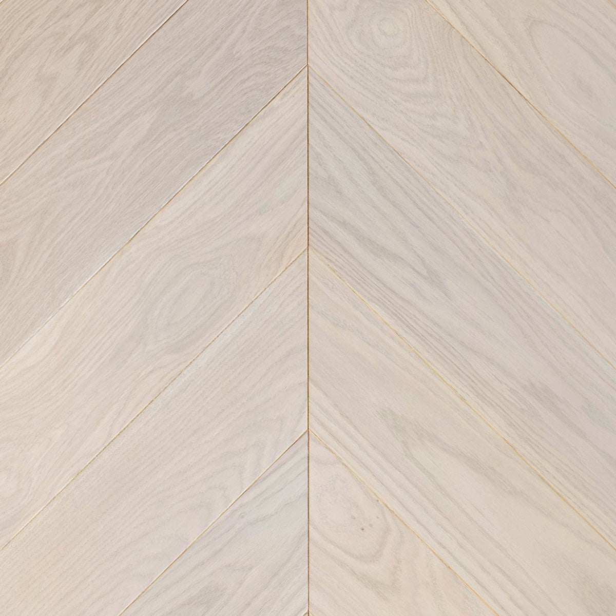 Oak Pearl