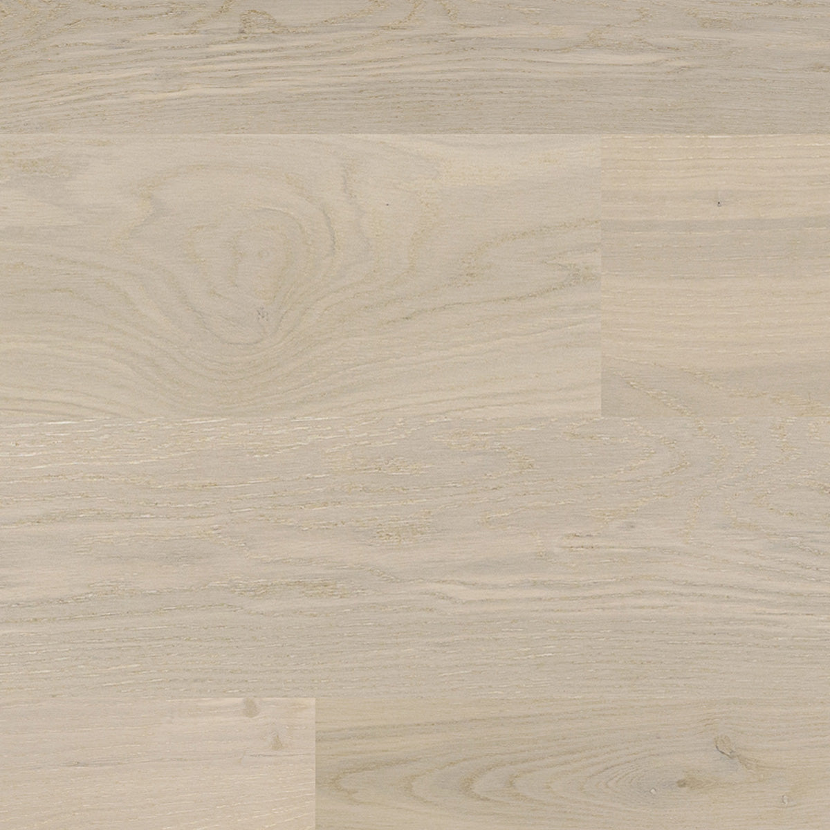Oak Vivid Monaco