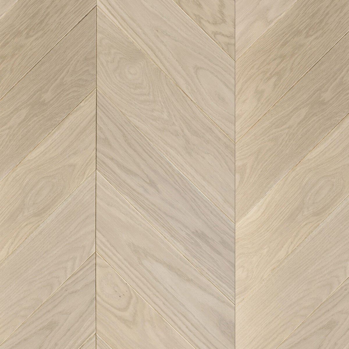Chevron Oak AB Latte