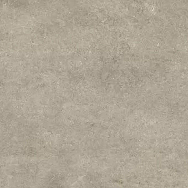 Stega di Pedra Fossil Ivory