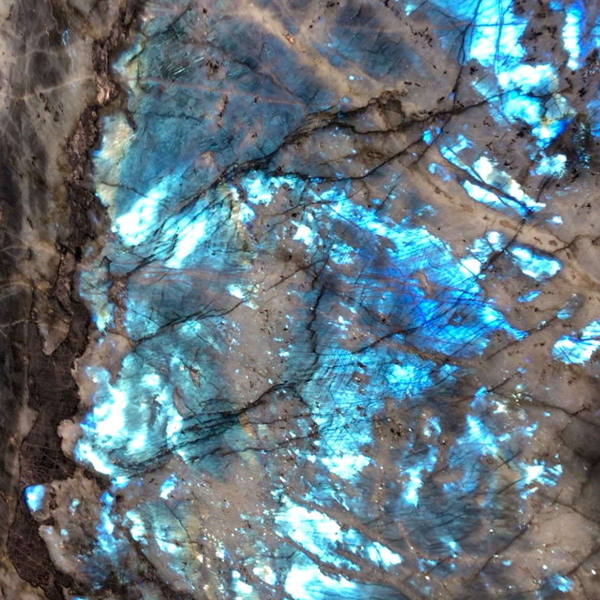 Lemurian Blue