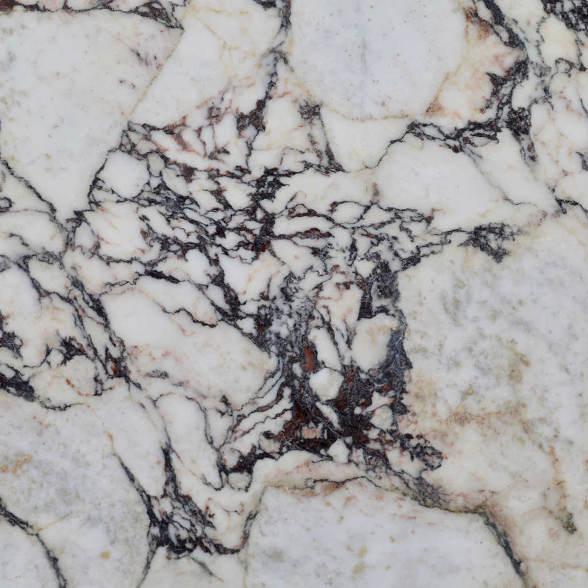 Breccia Viola