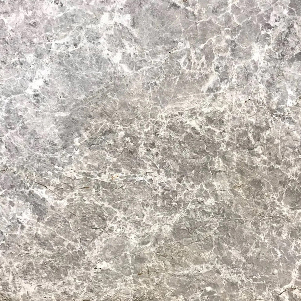 Tundra Grey