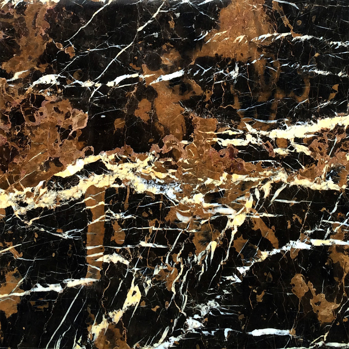 Black and Gold