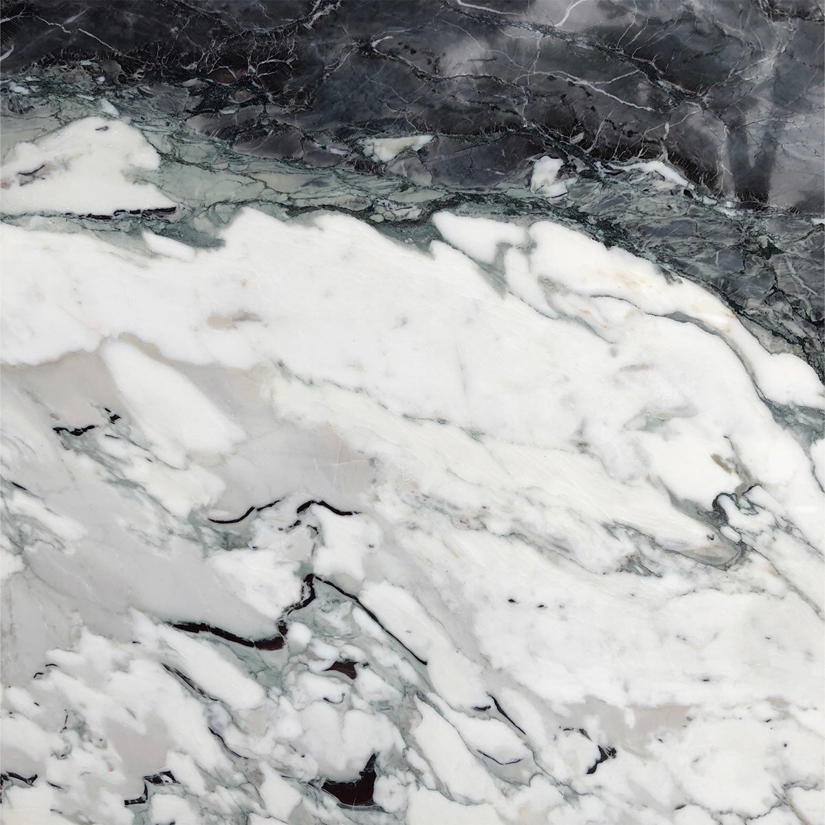 Breccia Capriaia
