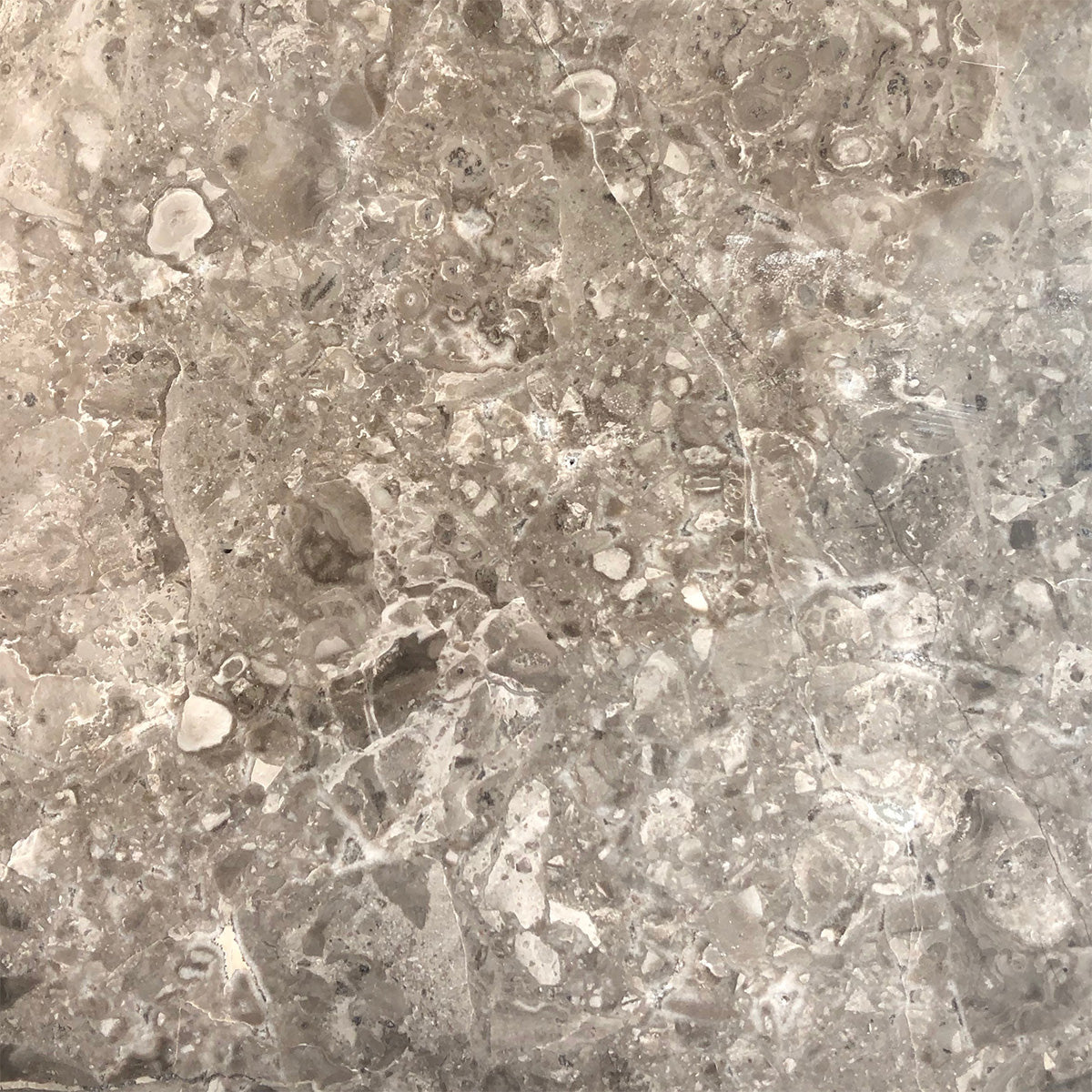 Grigio Billiemi