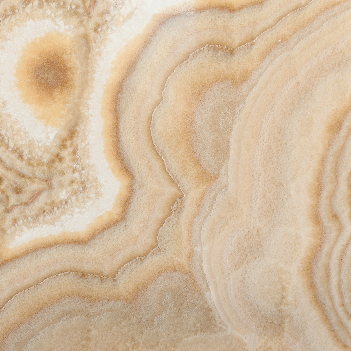 Onyx Cappuccino