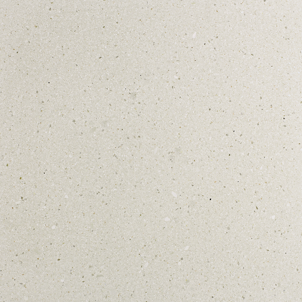Ricotta
