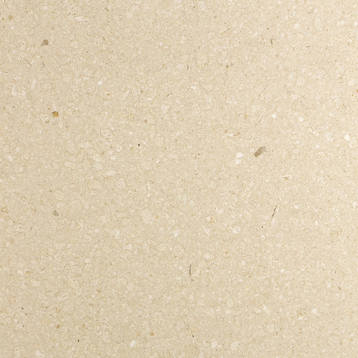 Pietra Crema