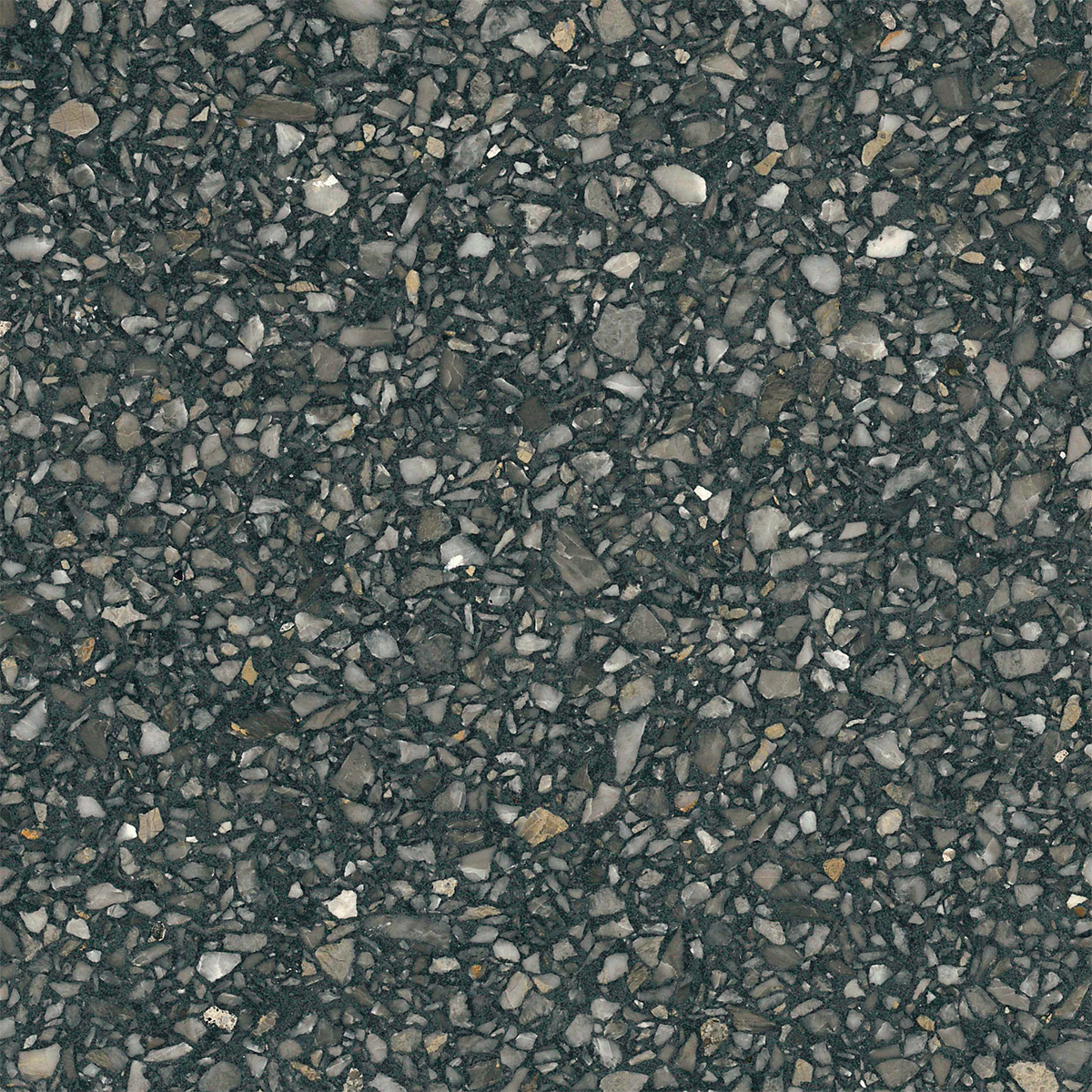 Gribel